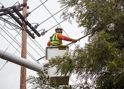 Pole Clearing